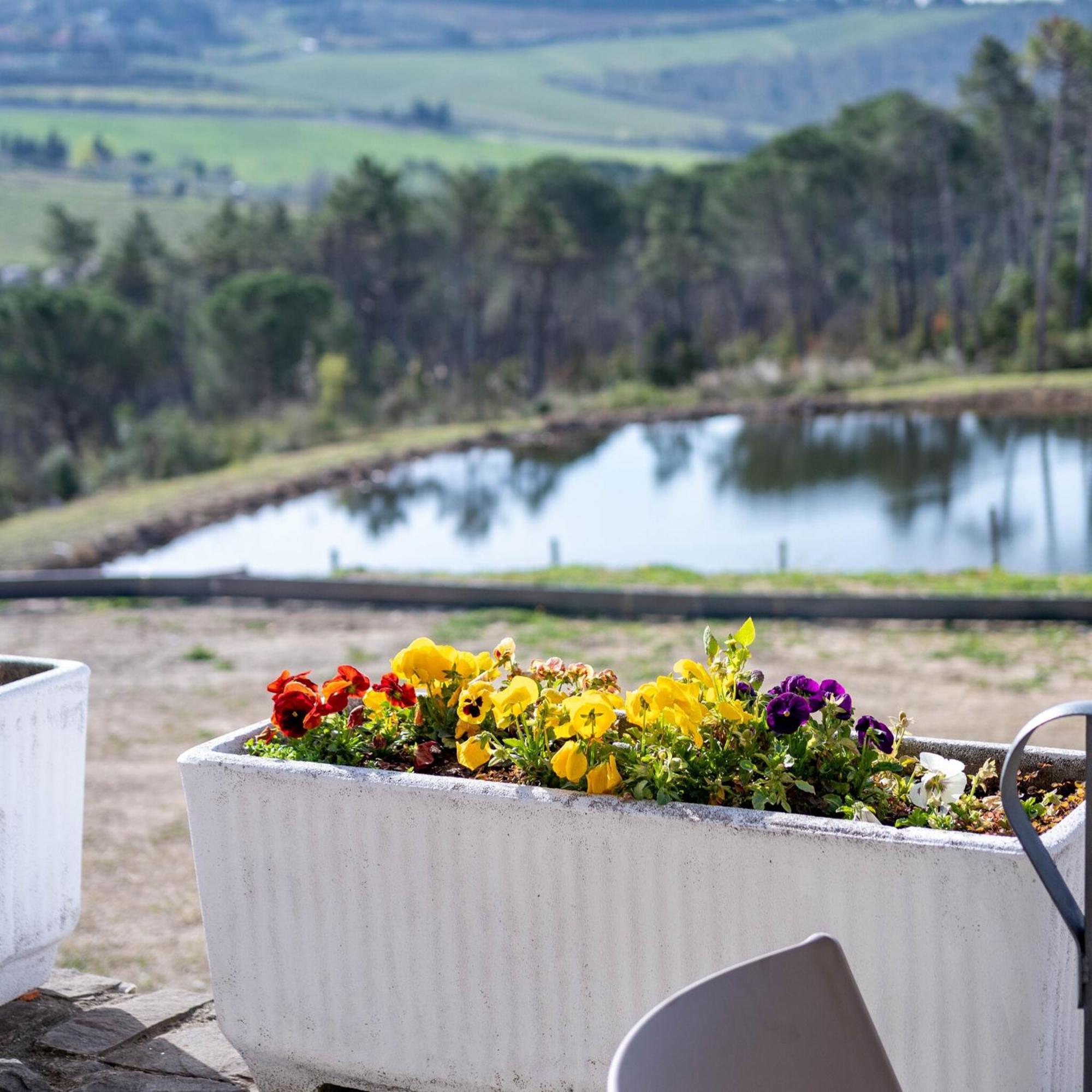 Casa Di Palaia Hotel Strada in Chianti Eksteriør billede
